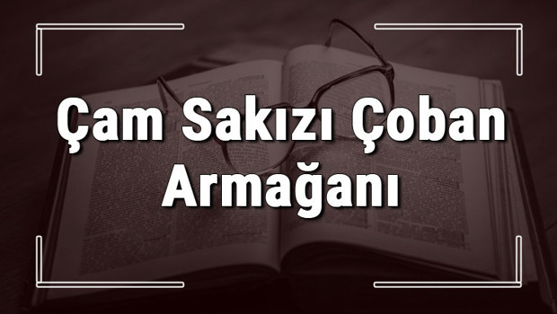 Çam Sakızı Çoban Armağanı atasözünün anlamı ve örnek cümle içinde kullanımı (TDK)