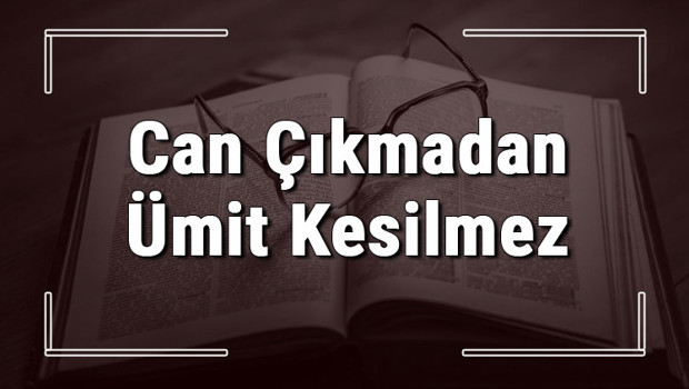 Can Çıkmadan Ümit Kesilmez atasözünün anlamı ve örnek cümle içinde kullanımı (TDK)