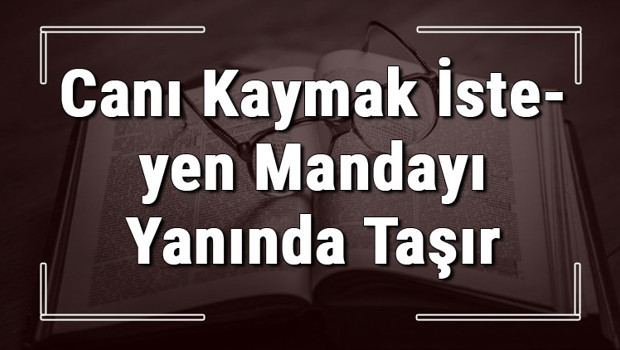 Canı Kaymak İsteyen Mandayı Yanında Taşır atasözünün anlamı ve örnek cümle içinde kullanımı (TDK)