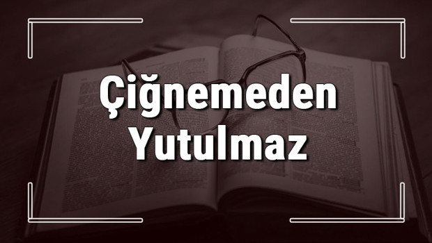 Çiğnemeden Yutulmaz atasözünün anlamı ve örnek cümle içinde kullanımı (TDK)