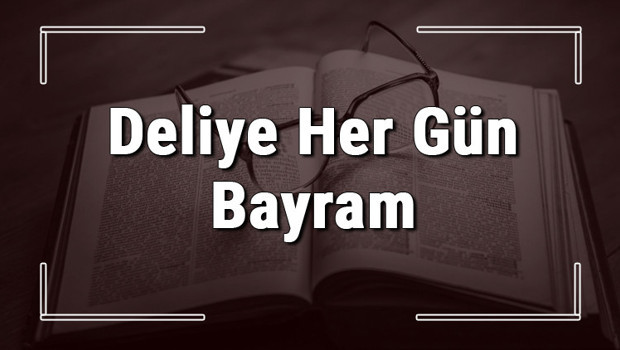 Deliye Her Gün Bayram atasözünün anlamı ve örnek cümle içinde kullanımı (TDK)