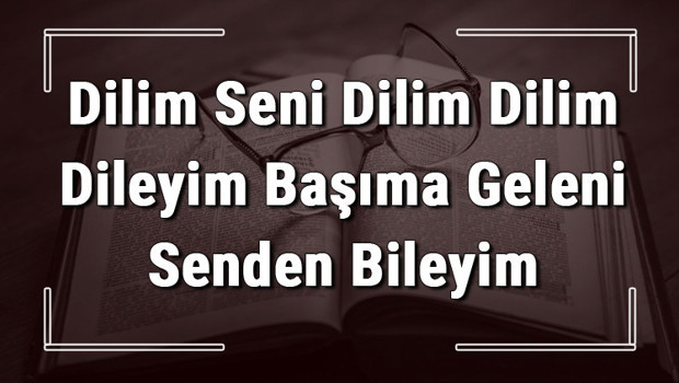 Dilim Seni Dilim Dilim Dileyim Başıma Geleni Senden Bileyim atasözünün anlamı ve örnek cümle içinde kullanımı (TDK)
