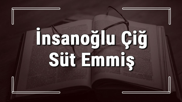 İnsanoğlu Çiğ Süt Emmiş atasözünün anlamı ve örnek cümle içinde kullanımı (TDK)