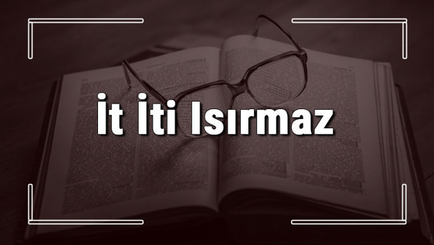 İt İti Isırmaz atasözünün anlamı ve örnek cümle içinde kullanımı (TDK)