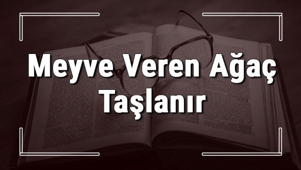 Meyve Veren Ağaç Taşlanır atasözünün anlamı ve örnek cümle içinde kullanımı (TDK)