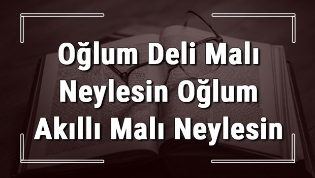 Oğlum Deli Malı Neylesin Oğlum Akıllı Malı Neylesin atasözünün anlamı ve örnek cümle içinde kullanımı (TDK)