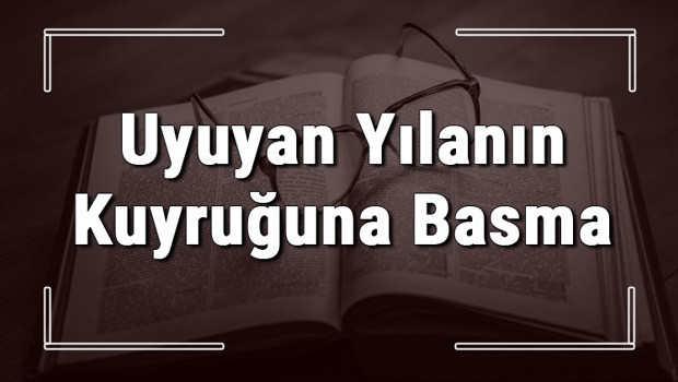 Uyuyan Yılanın Kuyruğuna Basma atasözünün anlamı ve örnek cümle içinde kullanımı (TDK)