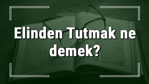 Elinden Tutmak ne demek? Elinden Tutmak deyiminin anlamı ve örnek cümle içinde kullanımı (TDK)