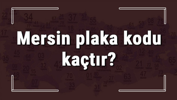 Mersin plaka kodu kaçtır? Mersin ve ilçelerinin plaka harfleri