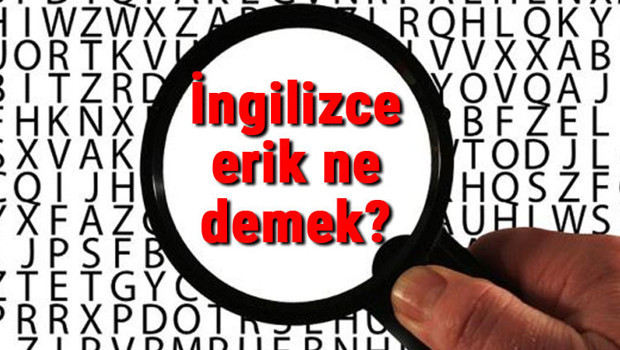 İngilizce erik ne demek? Erik kelimesinin İngilizce yazılışı, okunuşu ve söylenişi