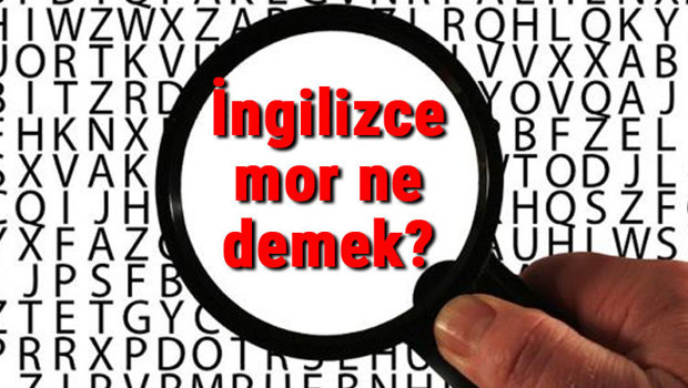 İngilizce mor ne demek? Mor kelimesinin İngilizce yazılışı, okunuşu ve söylenişi