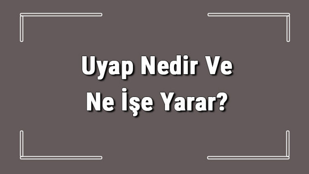 Uyap Nedir Ve Ne İşe Yarar? Uyap Nasıl Ve Kimler Kullanır
