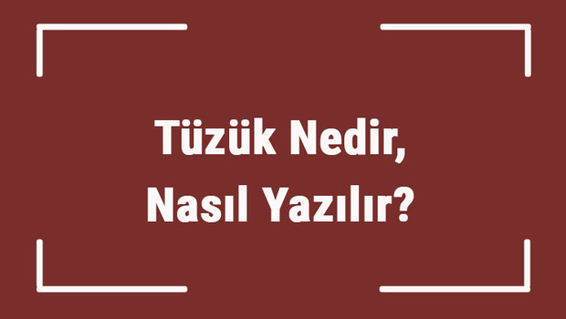 Tüzük Nedir, Nasıl Yazılır? Tdk'ya Göre Tüzük Kelimesi Ne Anlama Gelir? Tüzük Sözlük Anlamı