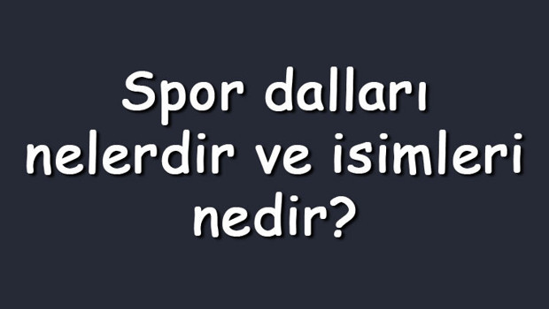 Spor dalları nelerdir ve isimleri nedir? Az bilinen, olimpik, ekstrem ve geleneksel sporlar
