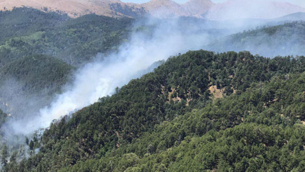OGM personel alımı ne zaman yapılacak Gözler Tarım ve Orman Bakanlığı 5 bin işçi alımı başvuru şartlarında