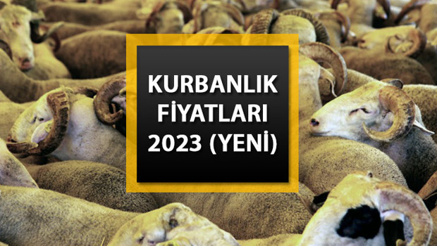 KURBANLIK FİYATLARI NE KADAR, BELLİ OLDU MU (Büyükbaş, küçükbaş) || Bu yıl koyun, dana, koç, tosun kurbanlık fiyatları ne kadar oldu, kaç TL