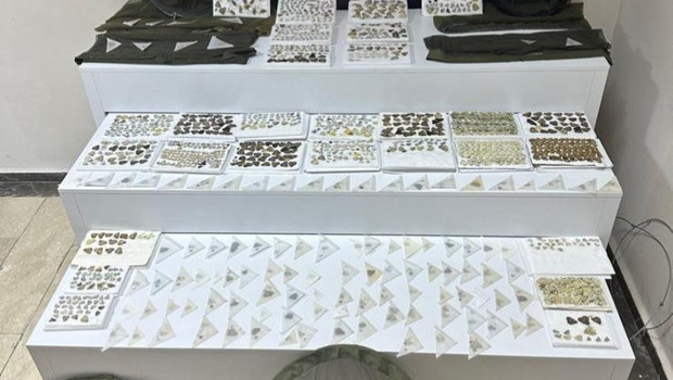 Elazığ'da bin 472 adet endemik kelebek ele geçirildi