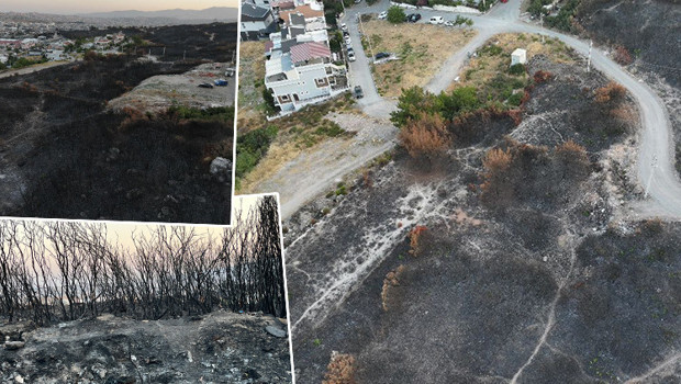 İzmir’deki yangın kontrol altına alındı! Küle dönen alanlar böyle görüntülendi