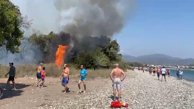 Muğla ve Malatya'da orman yangını: Ekipler müdahale ediyor