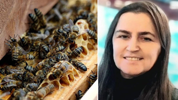 Giresun'da fındık toplarken arının soktuğu kadın hayatını kaybetti