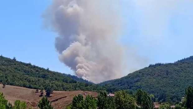 Bursa’da orman yangını