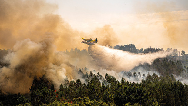 İklim krizi yüzünden yangınlar 40 kat arttı