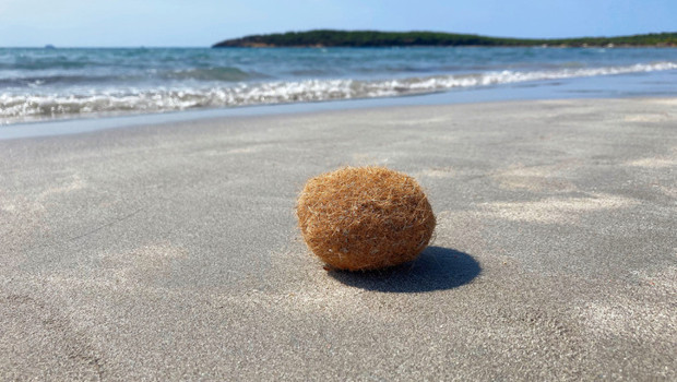 Akdeniz sahillerinde ortaya çıktılar! Çöp sandılar ama gerçek çok daha derin… ‘Bu bir uyarı mektubu’