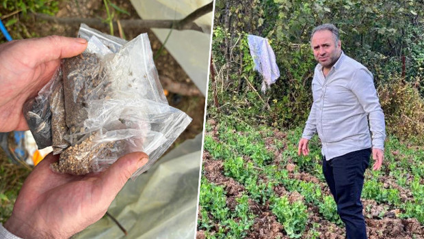 Yıllar önce başladı! Ülkenin dört bir yanına ücretsiz gönderiyor! 'Alın yiyin çekirdeklerini bana getirin'