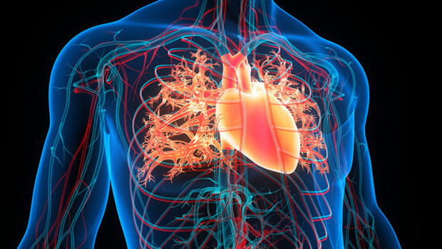 İnsan kolunda ekstra bir damar giderek yaygınlaşıyor