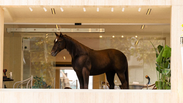 Bu kahve çok konuşulur! Sanat ile teknolojiyi buluşturan kahve