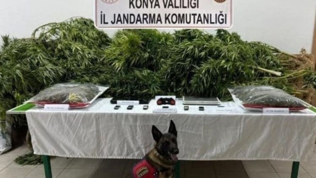 Çiftlikte uyuşturucu davası sonuçlandı… Çiftlik sahibi avukat beraat etti, iki çalışanına hapis cezası