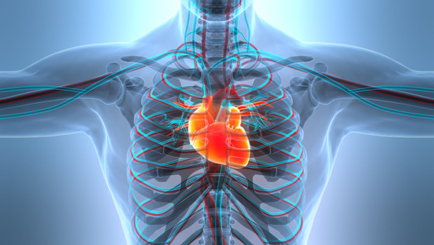 Bir yılda yaklaşık 20 milyon kişi hayatını kaybetti! 45 yaş altındaki kişilerde hızla artıyor