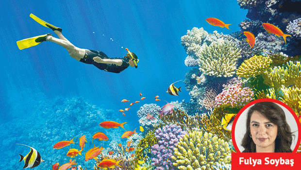 Türklerin yeni gözdesi Mısır