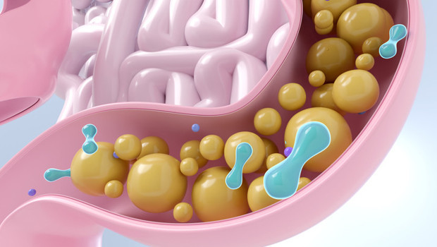 Ultra işlenmiş gıdalar bağırsak sağlığını nasıl etkiliyor? Gerçekten kanserle bir ilişkisi var mı?