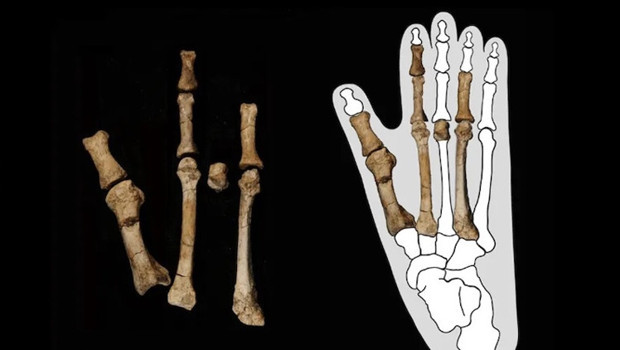 3,4 milyon yıllık ayak, insanın kökenini baştan yazıyor