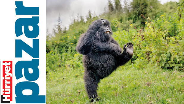 Dans eden goril 1’inci