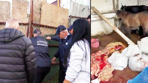 Kesip piyasaya sürdüler