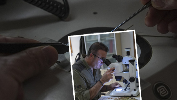 Emekli öğretmen doğa yürüyüşünde fark ederek keşfini sağladı | Dünyaca ünlü dergide yayımlandı