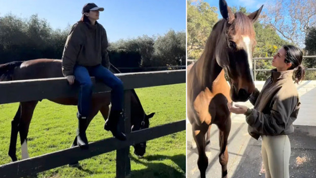 Ailesinden bağımsız olmak istedi... At çiftliğine milyonlar yatırdı