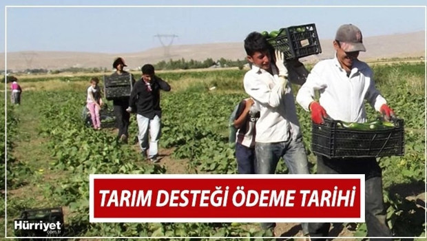 TARIMSAL DESTEK ÖDEMELERİ YATTI MI TARIMSAL DESTEK ÖDEMELERİ YATTI MI