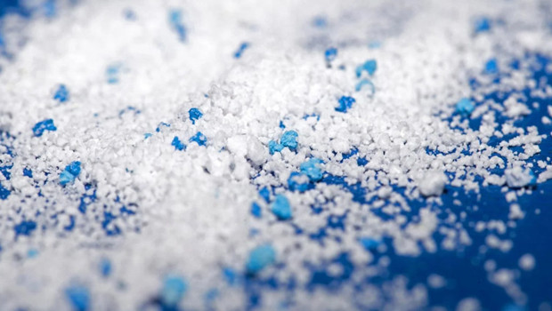 Antarktika'daki Sineklerden Mikroplastik Şoku! Neden Önemli?