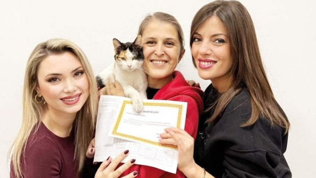 Düdüksu’nun Karne Töreni: Kedi Öğrencinin Başarısı!