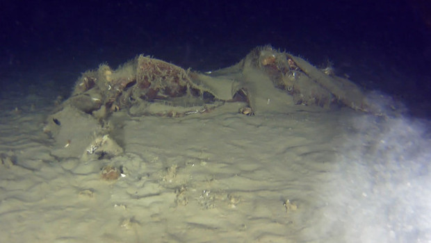 Marmara Denizi'nde Uçak Enkazı: THY'nin Gizemi Nihayet Ortaya Çıkıyor mu?