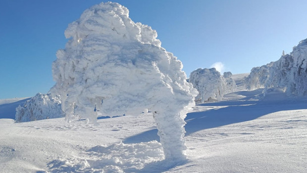 Yer: Bolu... Ağaçlar buz tuttu