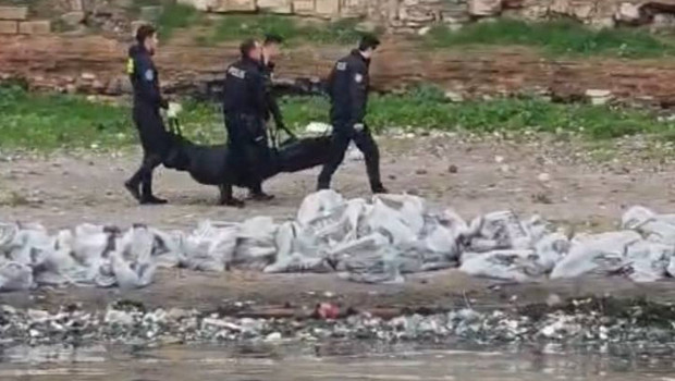 Samatya Sahili'nde Şok Eden Ceset Bulundu: Kayıp Levent Mi?