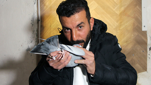 Güvercinini bulup getirene 75 bin TL verecek: Evladım gibi oldu