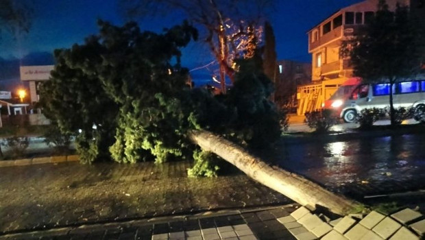 Tekirdağ'da Fırtına Neler Uçurdu? Çatılar ve Ağaçlar Tehlikede!