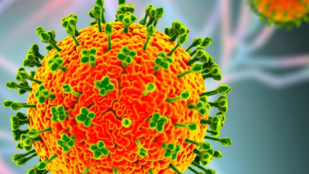 Nipah virüsü alarmı büyüyor