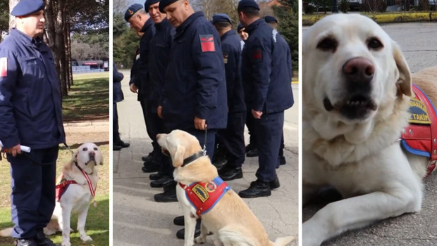 10 yıldır jandarmada görevli olan 'Medyum' emekliye ayrıldı