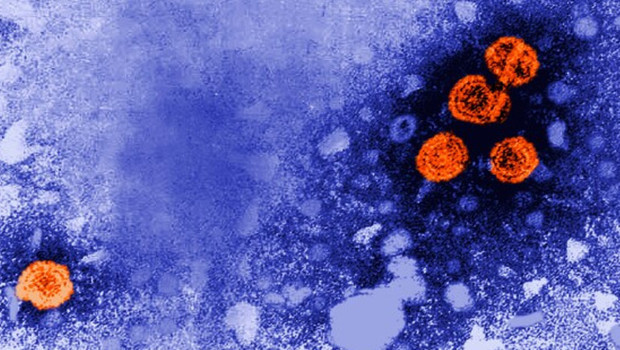 Bilim insanları, bakteri avcısı yapay virüs üretti